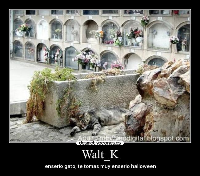 Walt_K - enserio gato, te tomas muy enserio halloween