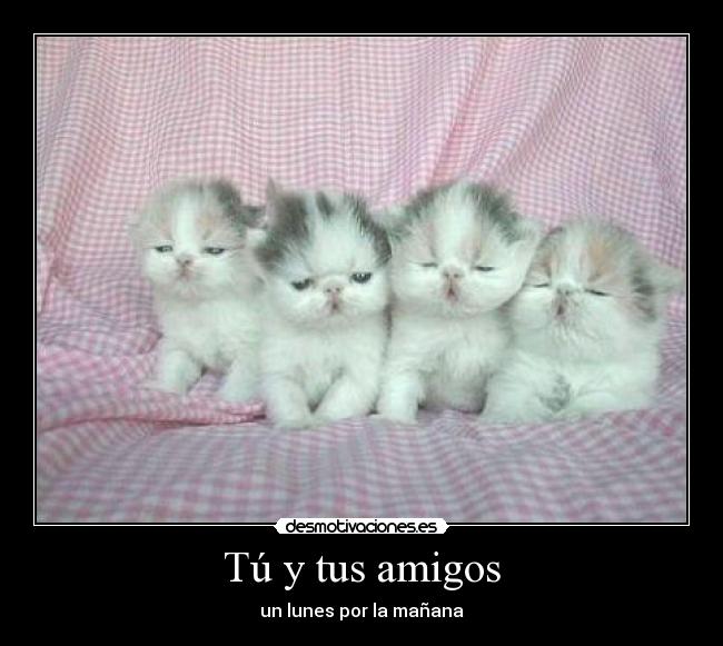 Tú y tus amigos -