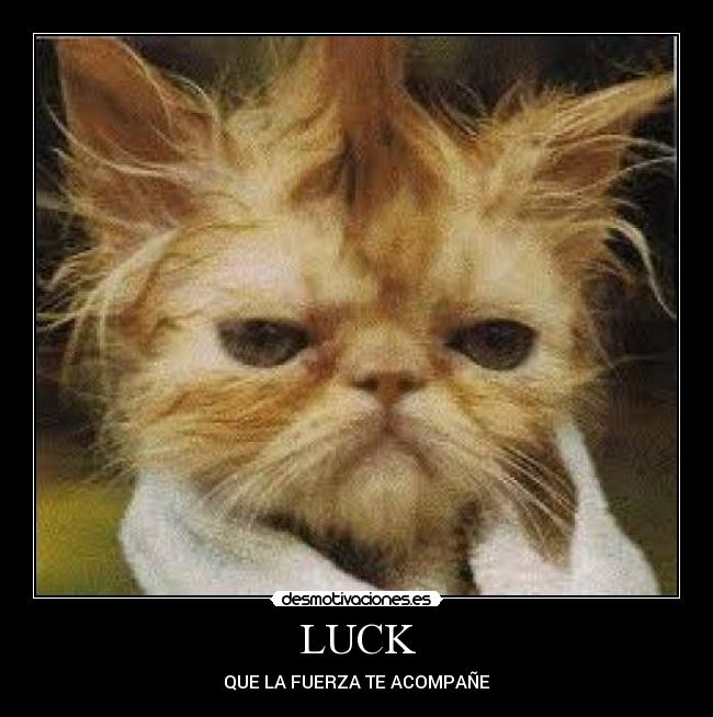 LUCK -