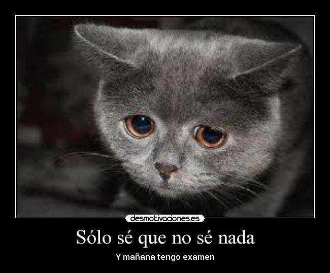 Sólo sé que no sé nada -