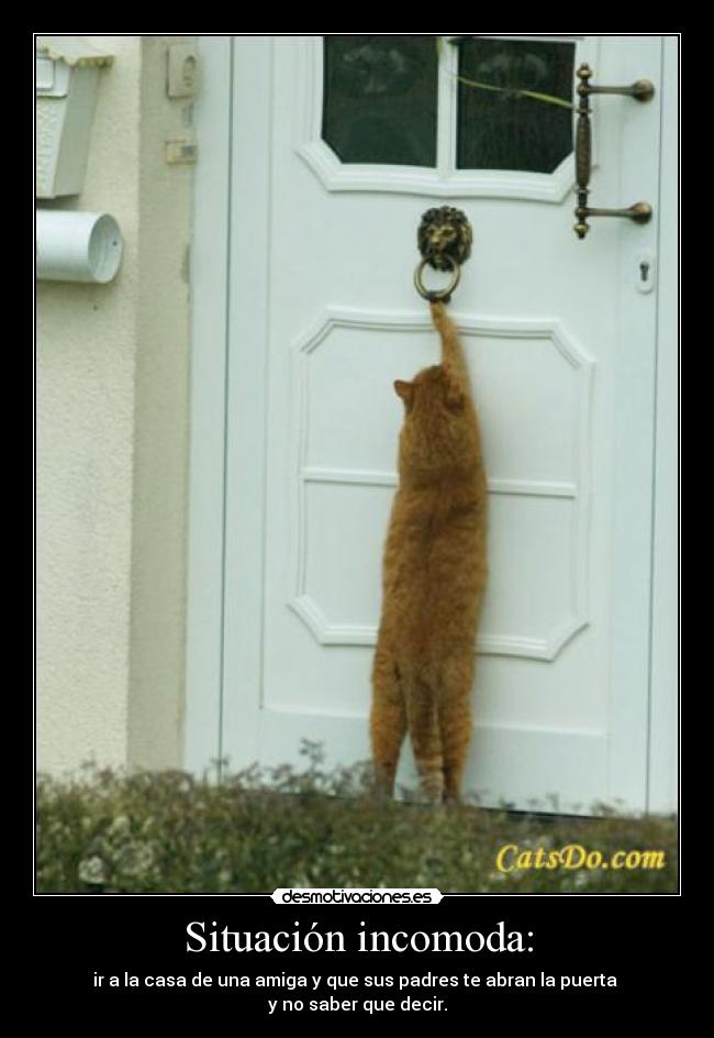 Situación incomoda: - ir a la casa de una amiga y que sus padres te abran la puerta 
y no saber que decir.
