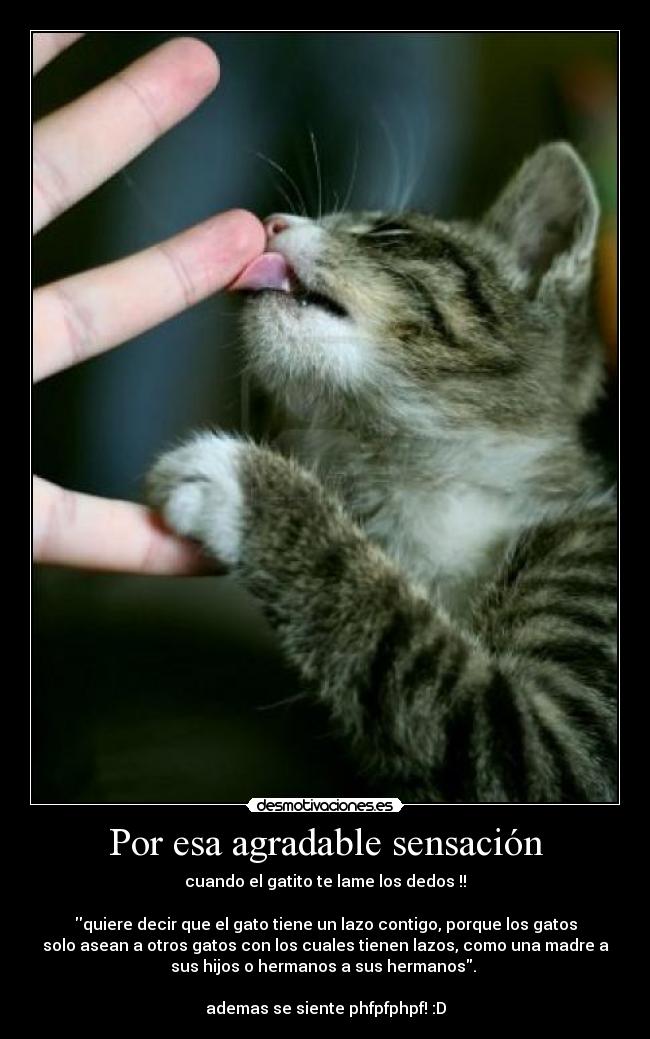 Por Esa Agradable Sensación Desmotivaciones