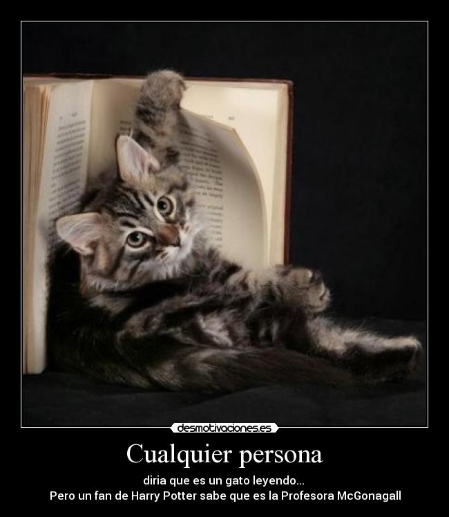 Cualquier persona - diria que es un gato leyendo... 
Pero un fan de Harry Potter sabe que es la Profesora McGonagall