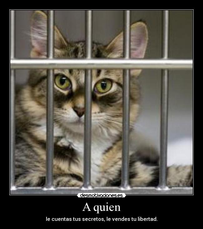 A quien -