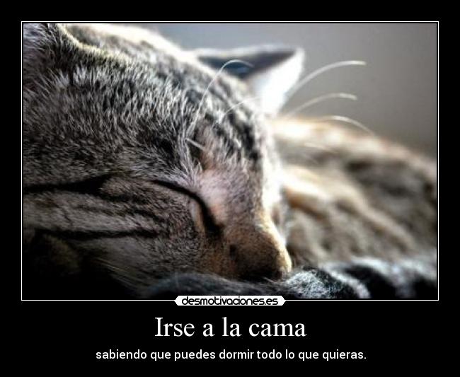 Irse a la cama - sabiendo que puedes dormir todo lo que quieras.