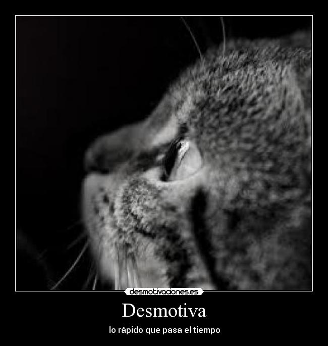 Desmotiva - lo rápido que pasa el tiempo