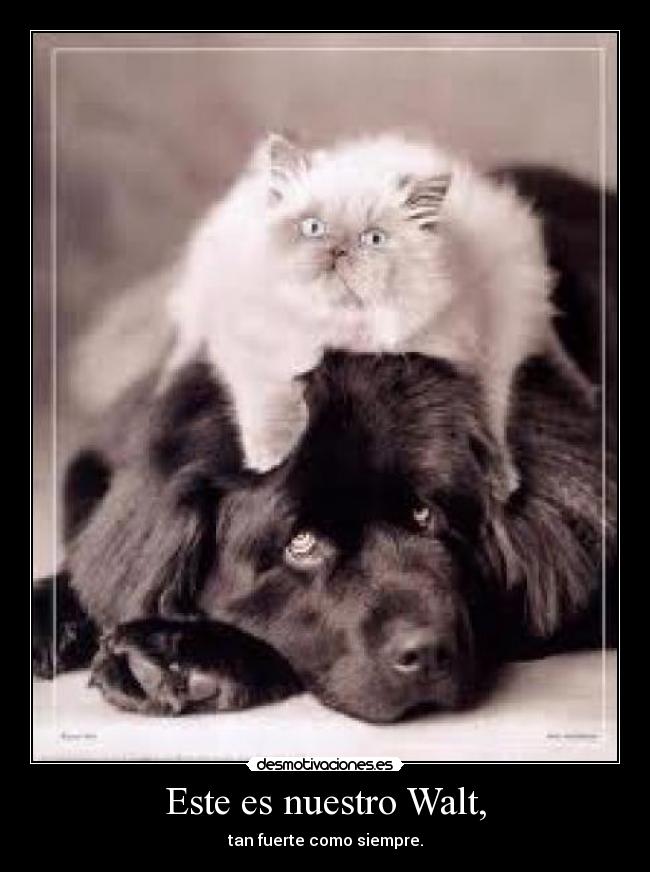 Este es nuestro Walt, - 