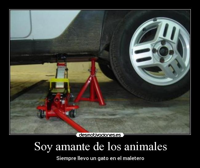 carteles animales por que esa mania hacer todas las cosas sabor mojito desmotivaciones