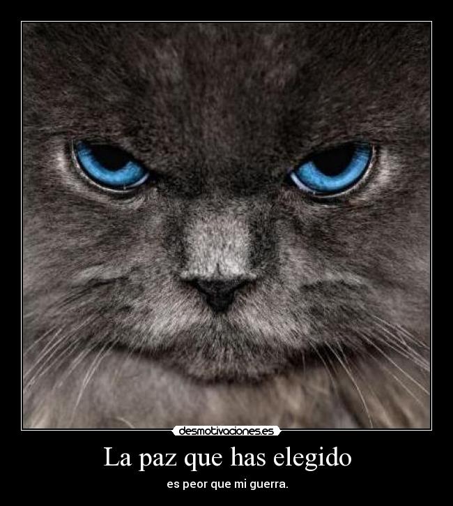 carteles internet desmotivaciones