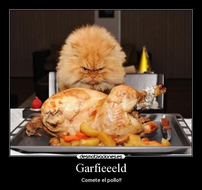 Garfieeeld - Comete el pollo!!