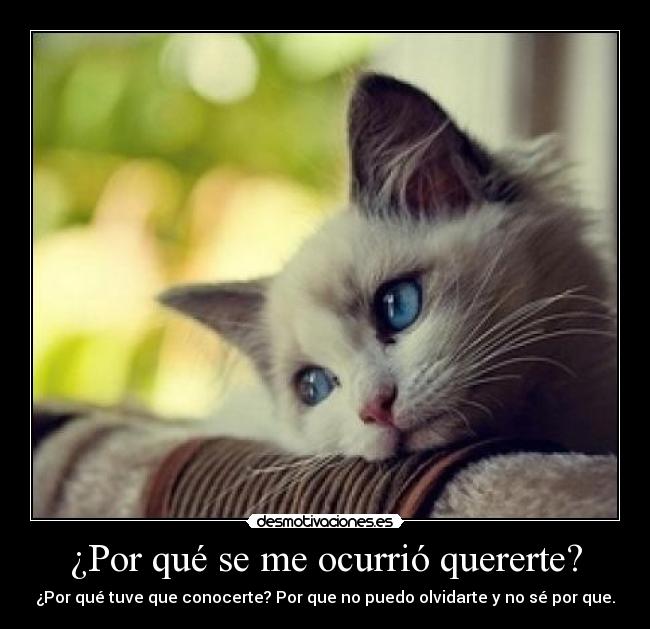 carteles mari1995 desmotivaciones