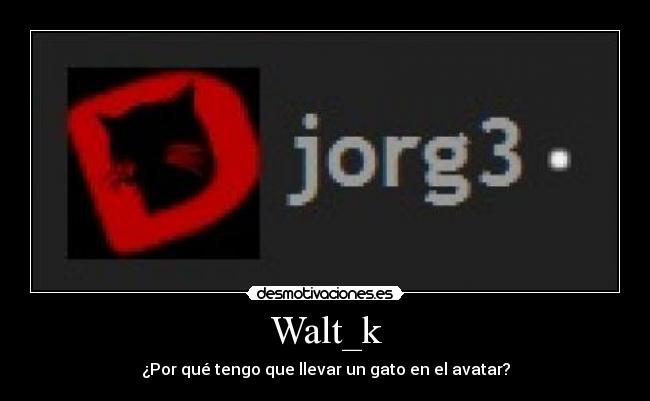Walt_k - ¿Por qué tengo que llevar un gato en el avatar?
