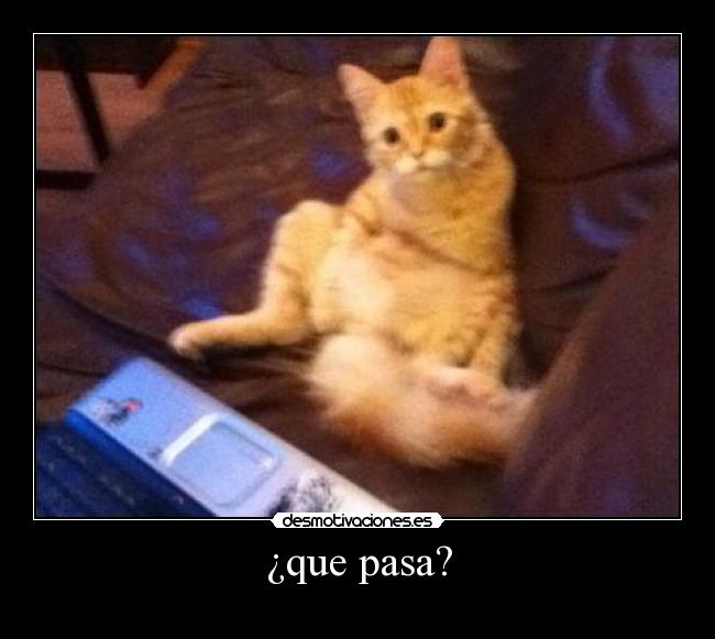 ¿que pasa? -