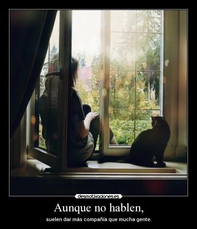 Aunque no hablen, - 