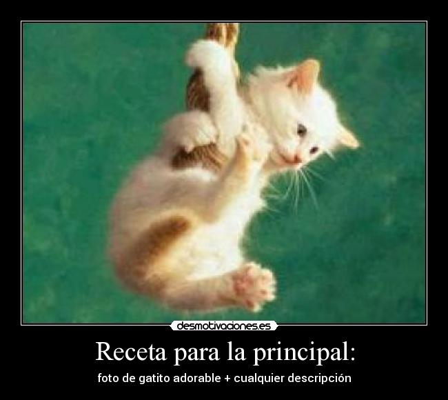 Receta para la principal: - 