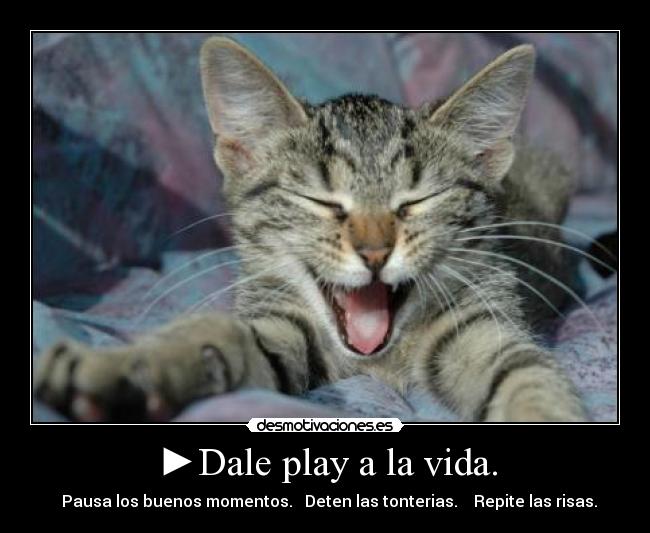 ►Dale play a la vida. - ▌▌Pausa los buenos momentos. ■ Deten las tonterias. ◄◄ Repite las risas.