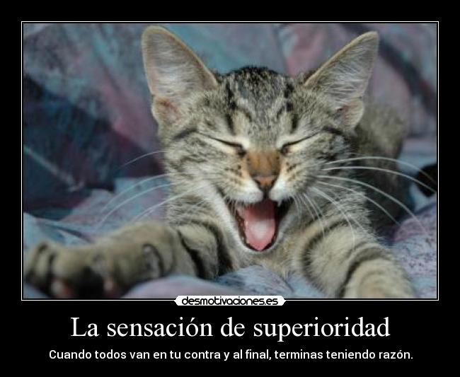 La sensación de superioridad - Cuando todos van en tu contra y al final, terminas teniendo razón.