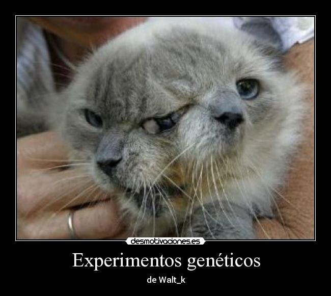 Experimentos genéticos - de Walt_k