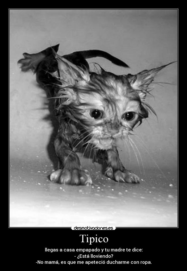 Tipico - llegas a casa empapado y tu madre te dice:
- ¿Está lloviendo?
-No mamá, es que me apeteció ducharme con ropa.