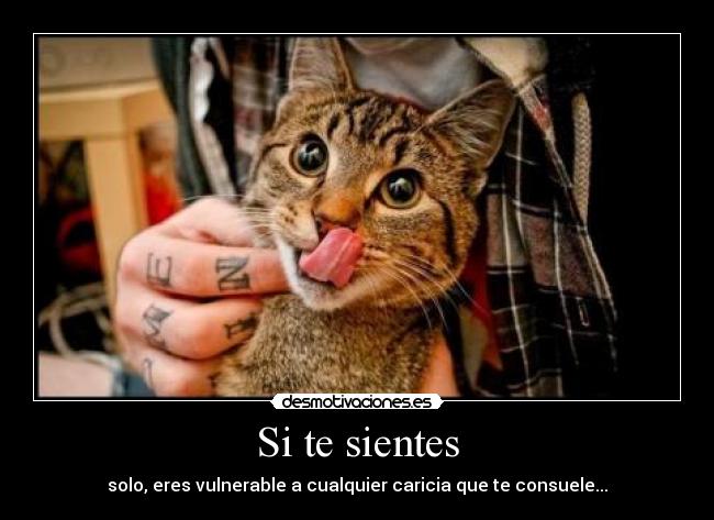 Si te sientes - solo, eres vulnerable a cualquier caricia que te consuele...