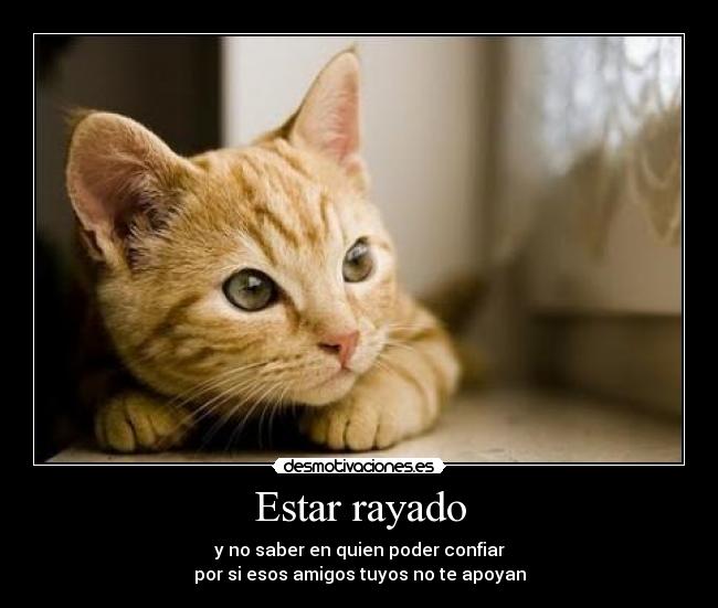 Estar rayado - y no saber en quien poder confiar
por si esos amigos tuyos no te apoyan