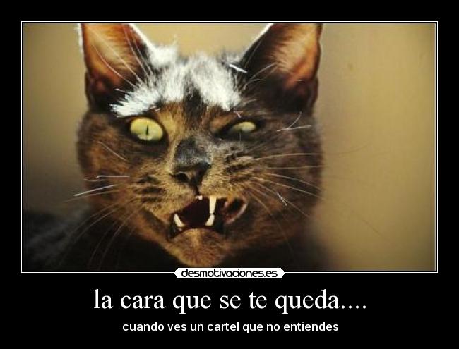 la cara que se te queda.... - cuando ves un cartel que no entiendes