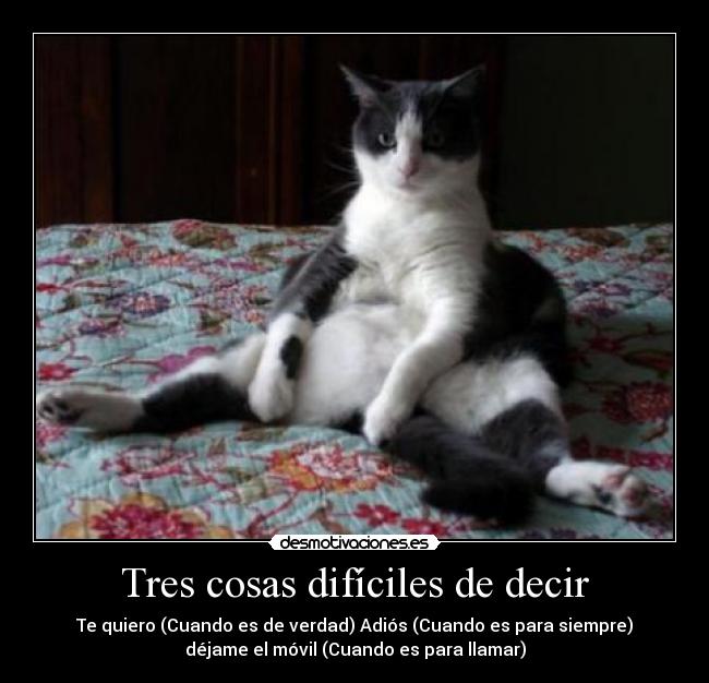 Tres cosas difíciles de decir - Te quiero (Cuando es de verdad) Adiós (Cuando es para siempre)
déjame el móvil (Cuando es para llamar)