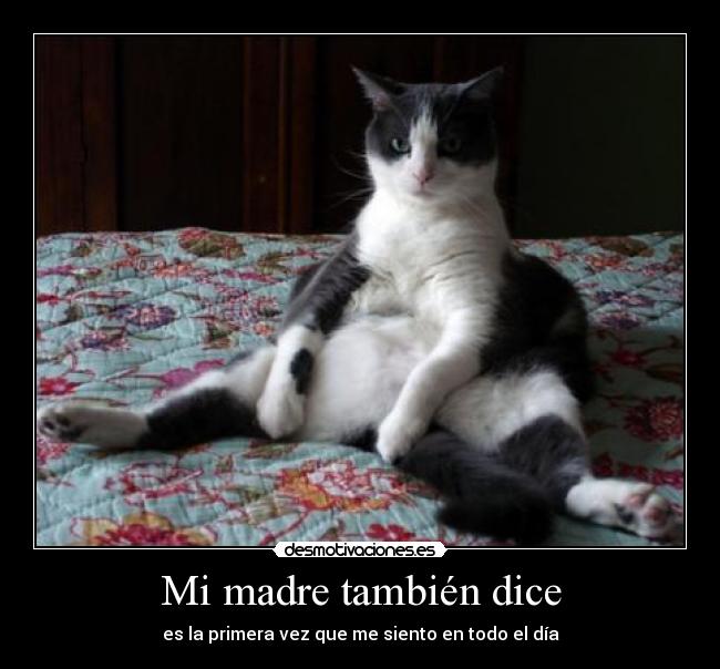 Mi madre también dice - es la primera vez que me siento en todo el día