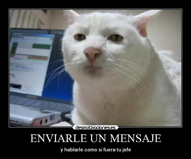 ENVIARLE UN MENSAJE - y hablarle como si fuera tu jefe