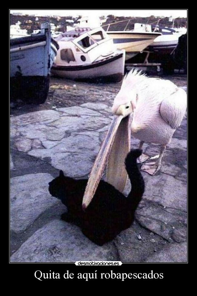 Quita de aquí robapescados -