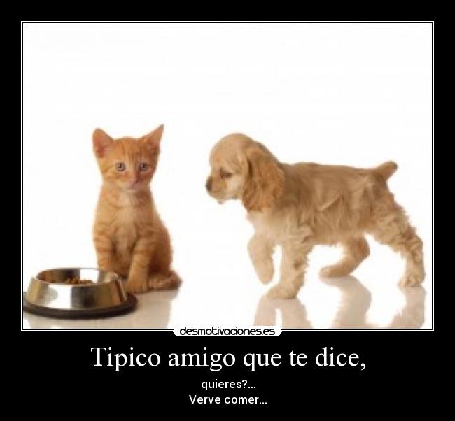 Tipico amigo que te dice, - quieres?...
Verve comer...