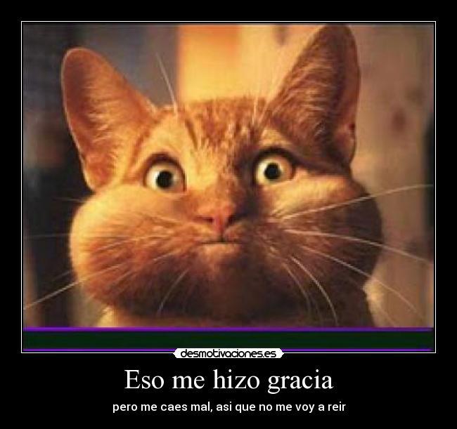 Eso me hizo gracia - pero me caes mal, asi que no me voy a reir