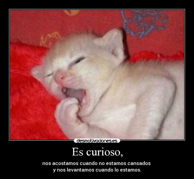 Es curioso, - nos acostamos cuando no estamos cansados
y nos levantamos cuando lo estamos.