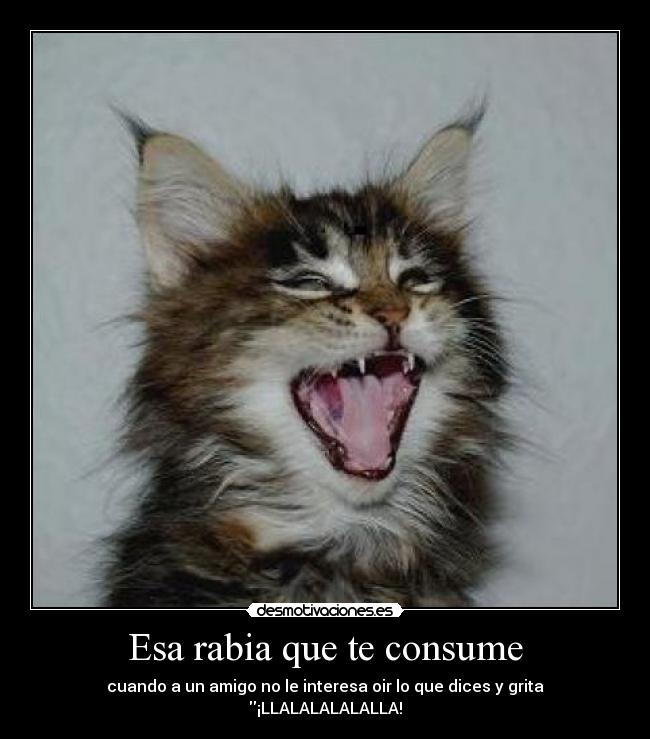 Esa rabia que te consume - 