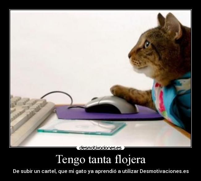 Tengo tanta flojera - 