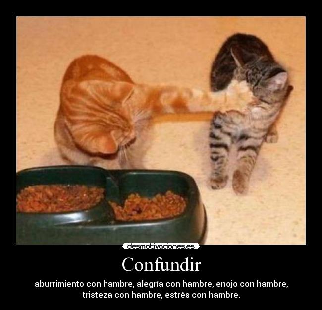 Confundir - aburrimiento con hambre, alegría con hambre, enojo con hambre,
tristeza con hambre, estrés con hambre.