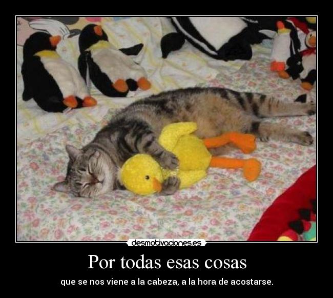 Por todas esas cosas -