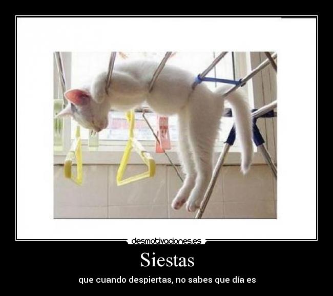 Siestas - que cuando despiertas, no sabes que día es