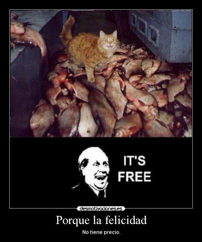 Porque la felicidad - No tiene precio.
