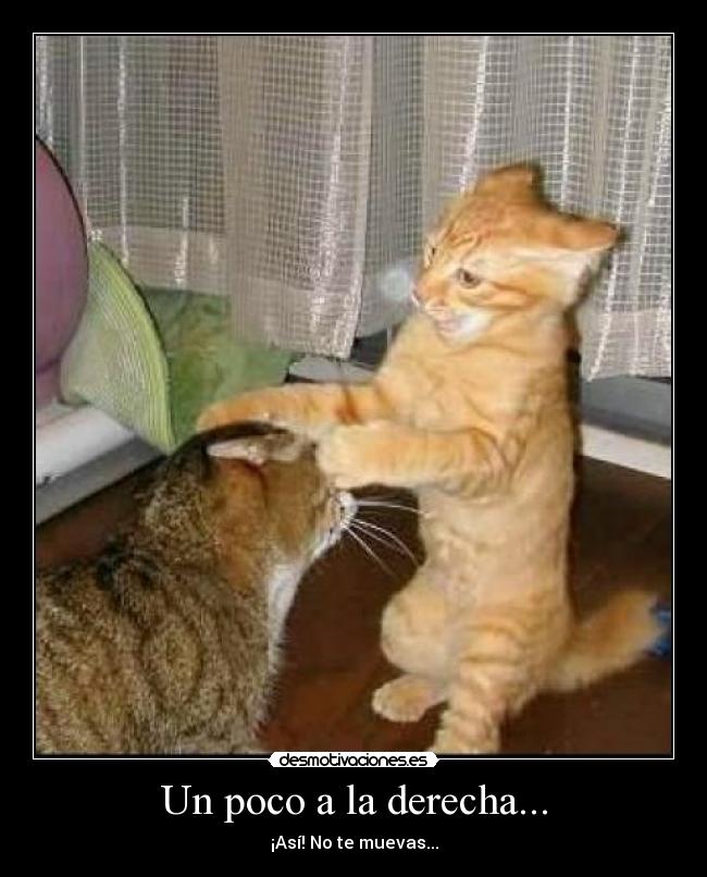 Un poco a la derecha... - 