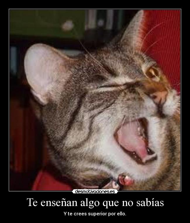 Te enseñan algo que no sabías -