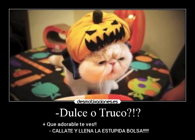 -Dulce o Truco?!? - + Que adorable te ves!!
- CALLATE Y LLENA LA ESTUPIDA BOLSA!!!!!