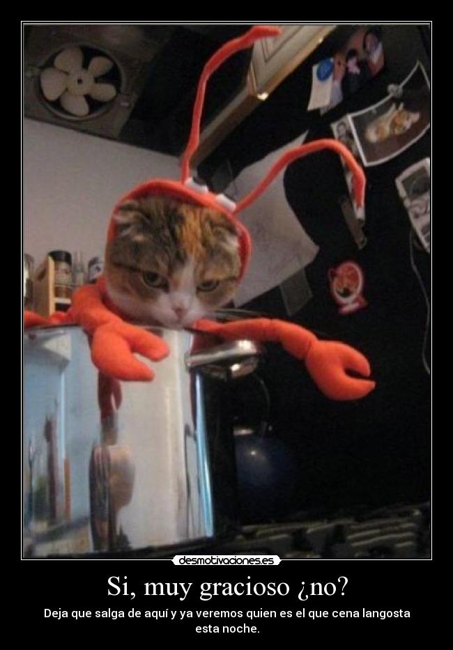 carteles gatoscabreado ugn2010 desmotivaciones