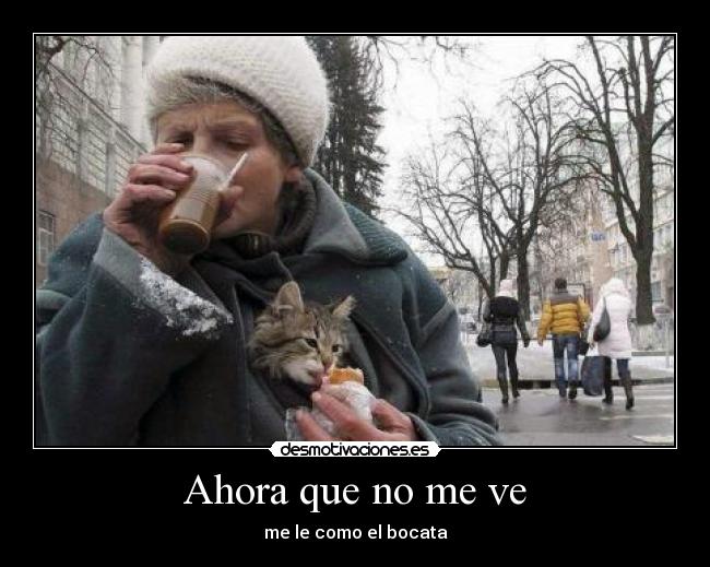 carteles sdfs desmotivaciones