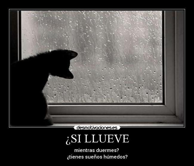 ¿SI LLUEVE - 