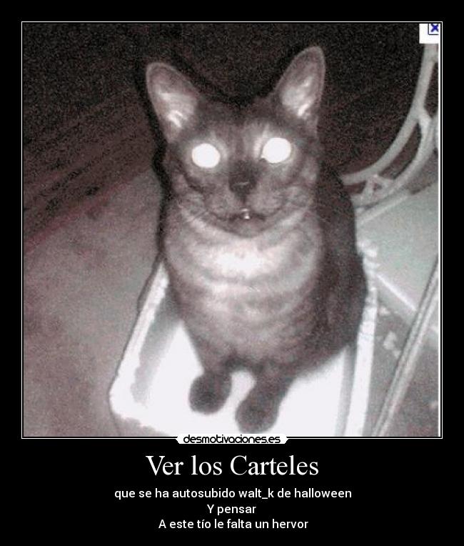 Ver los Carteles - 