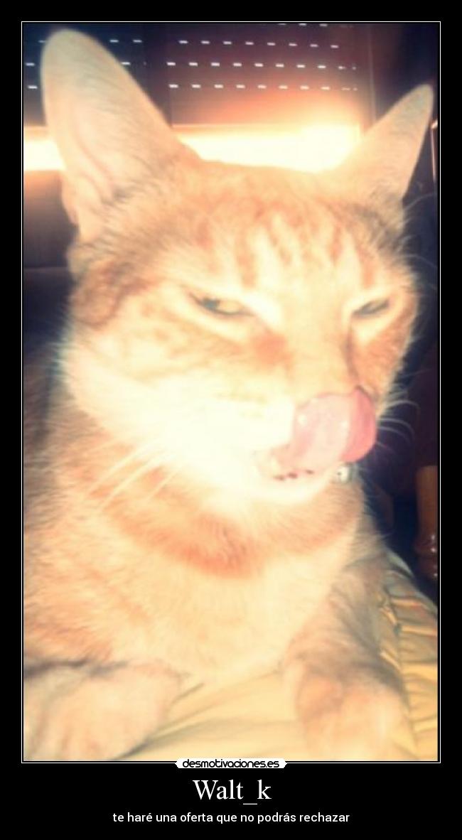Walt_k - te haré una oferta que no podrás rechazar