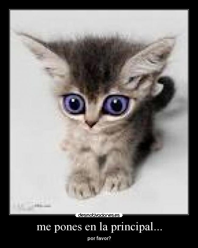 me pones en la principal... -