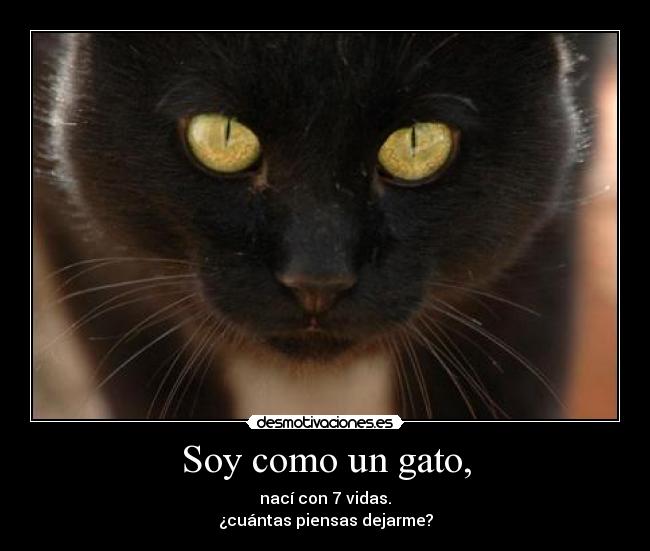 carteles pregunta sin respuesta desmotivaciones