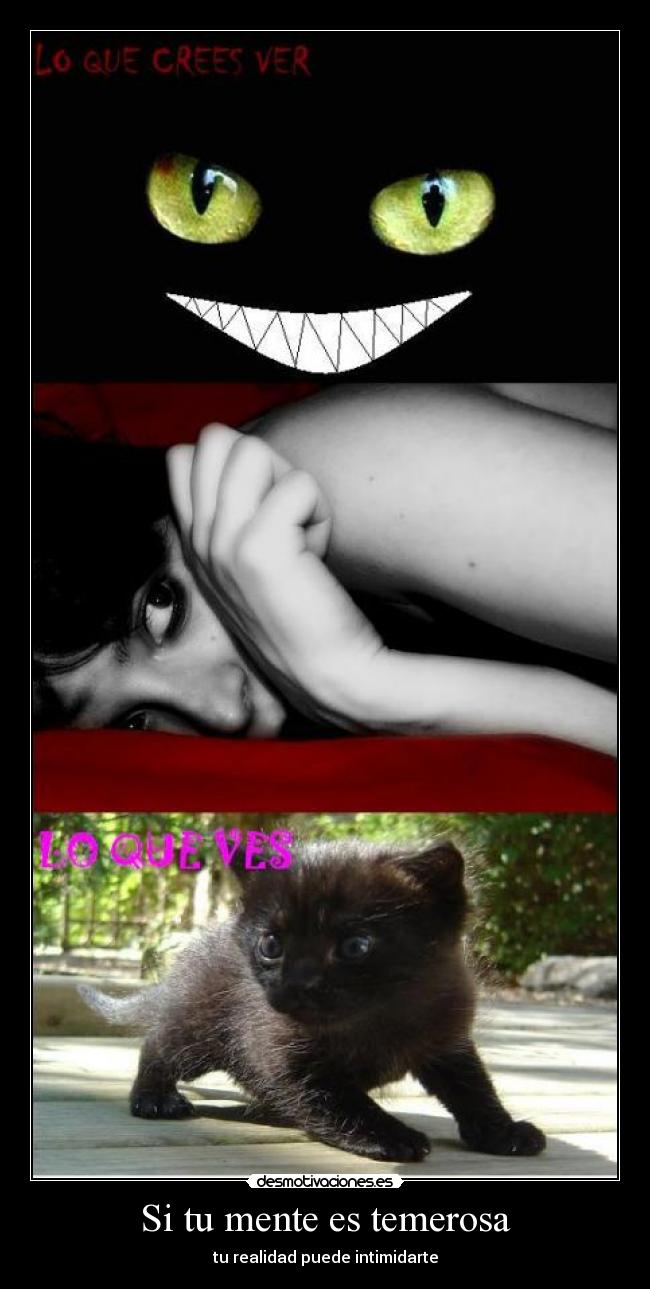 Si tu mente es temerosa - tu realidad puede intimidarte